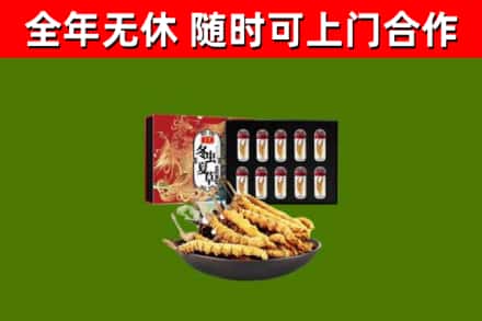 永嘉县烟酒回收冬虫夏草礼盒.jpg